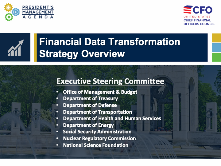 Draft Federal Financial Data Strategy document - page 1