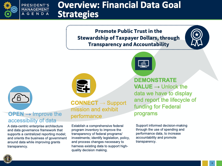 Draft Federal Financial Data Strategy document - page 3