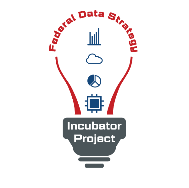 Federal Data Strategy Incubator Project Logo